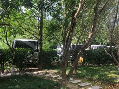 -崇明东平国家森林公园烧烤房车露营地