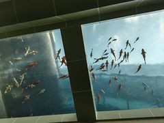 -上海长江河口科技馆