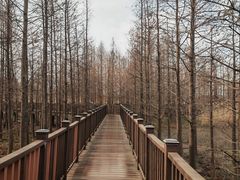 -双山岛