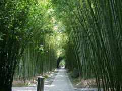 android_upload_pic-上海市龙华烈士陵园