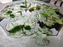 -广州三元宫