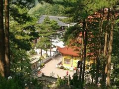 -九华山风景区月身宝殿