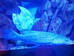 -波塞冬旅游度假区