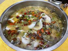 酸菜鲩鱼-肥姐美食(同福中路店)