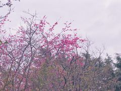 -昆明动物园