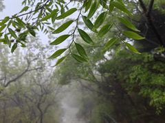 -香山公园