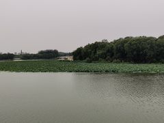 -大兴滨河森林公园