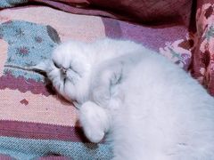 -小时光咖啡馆(开森度假森林店)