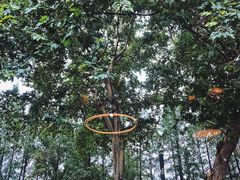 景观位-EN SPACE恩空间