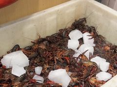 -菜哥龙虾•九江菜(七中店)