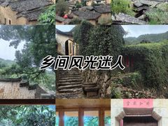 -杨家堂村