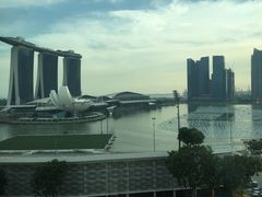 -新加坡文华东方酒店