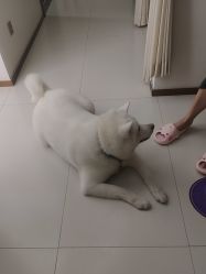 -头道汤头疗养生馆