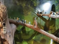 -苏州海洋馆