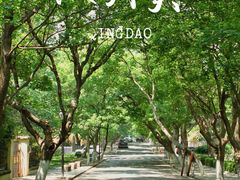-八大关景区