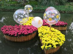 -上海共青森林公园