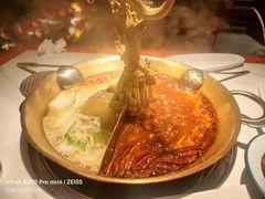 -小龙翻大江文化火锅(宽窄店)