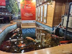 -老康火锅(黄河路总店)