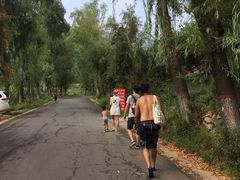 -王顺山国家森林公园
