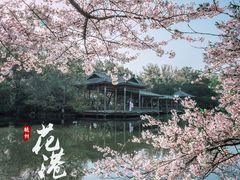 -西湖外事游船(花港观鱼码头)