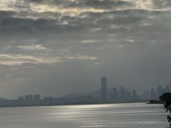 -深圳湾公园(南山区)