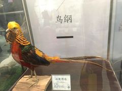 -中山市树木园