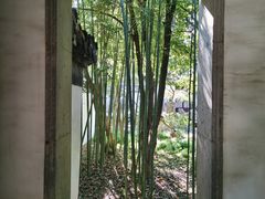 -秋霞圃
