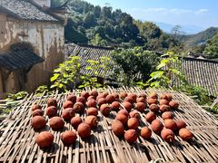 -杨家堂村