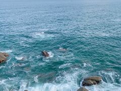 -广东惠东海龟国家级自然保护区