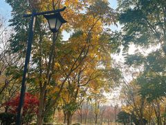 -狼山风景名胜区