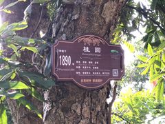 -张坝桂圆林公园