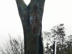 -长沙黑麋峰国家森林公园