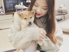 -逗柴咖啡屋·狗咖猫咖宠物桌游