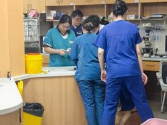 -联合动物医院(光谷诊疗中心)