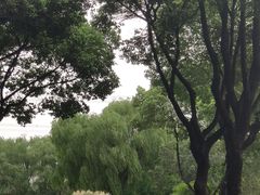 -昆山城市生态森林公园