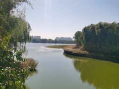 -大兴滨河森林公园