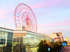 -台场海滨公园船码头