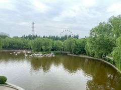 -清凉山国家森林公园