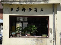 -三林塘老街