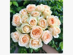 -花草间花行(法华镇路店)