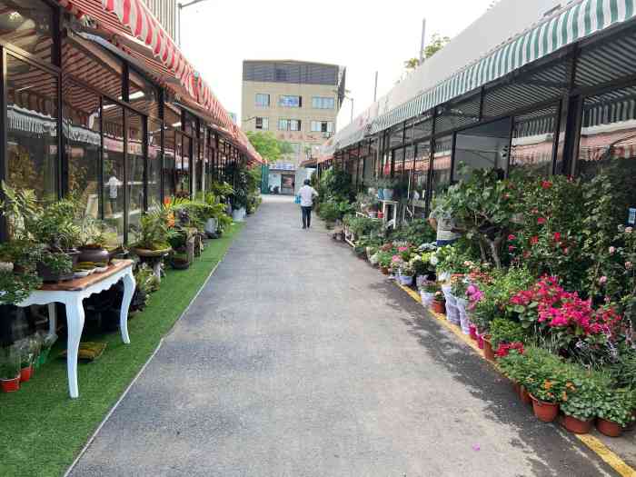 杭州城北花卉"杭州|你不知道的花卉市场 发现这个花卉.