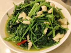 -食客三千·老家
