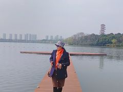 -暨阳湖生态园