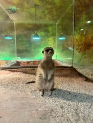 -酷嗒动物文化乐园(cutezoo西溪乐天城店)