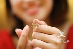 -威德钻石-克拉钻大本营(南京东路店)