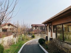 -大连金石滩绿发温泉假日酒店