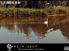 i7wedding-稻香湖景酒店