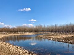 -东郊湿地公园