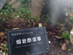 -东莞植物园