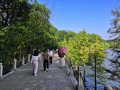-天目湖山水园